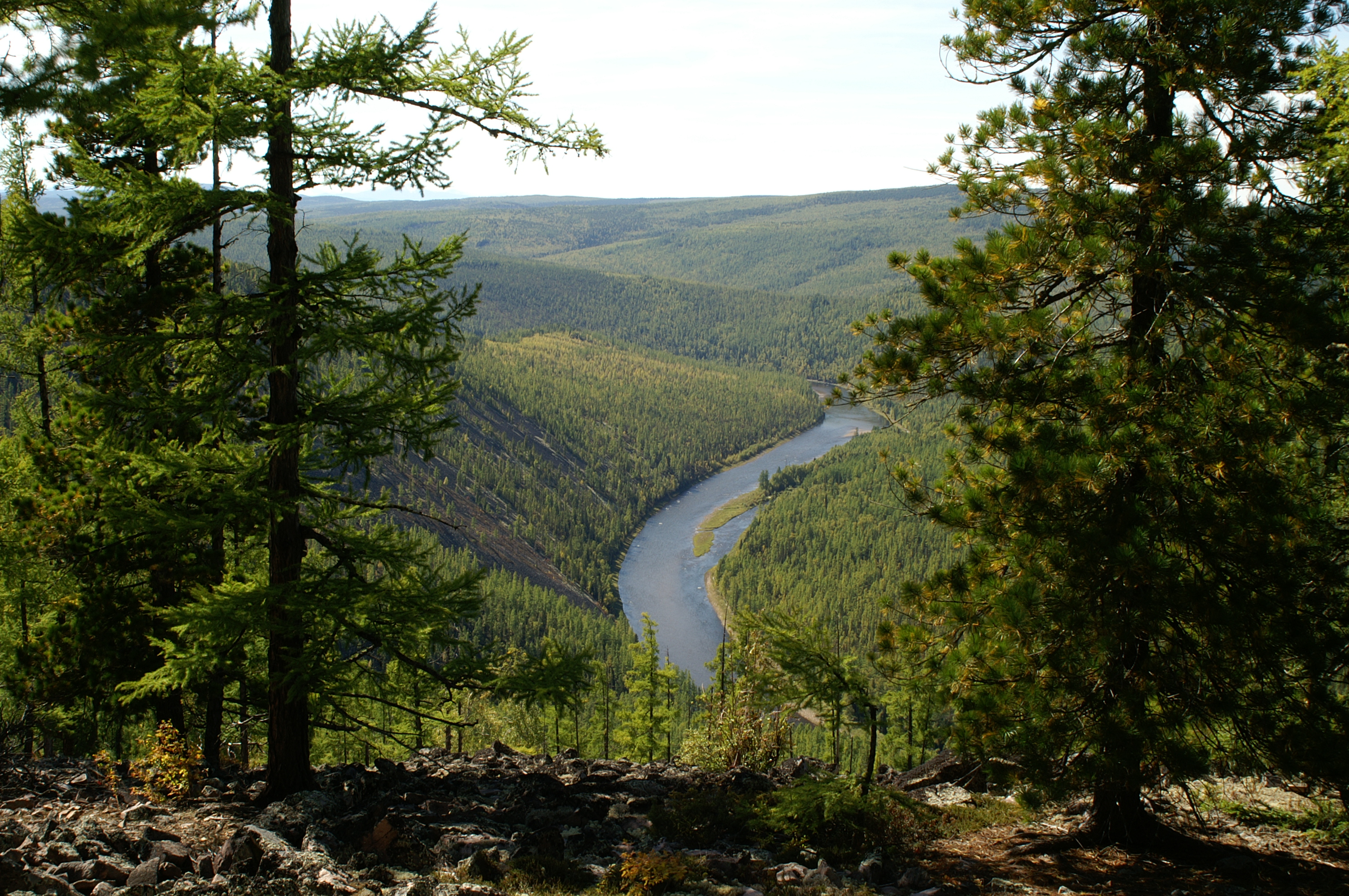 Malaya Biryusa River